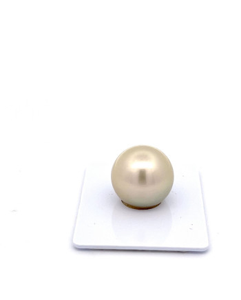 15mm+ fine  grade Tahitian Black pearl, French Polynesia  