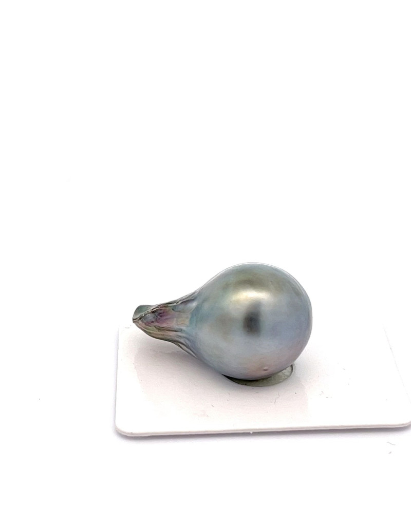15mm+ jewel  grade Tahitian Black pearl, French Polynesia  
