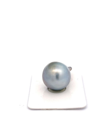 15mm+ jewel  grade Tahitian Black pearl, French Polynesia  