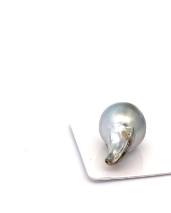 15mm+ jewel  grade Tahitian Black pearl, French Polynesia  