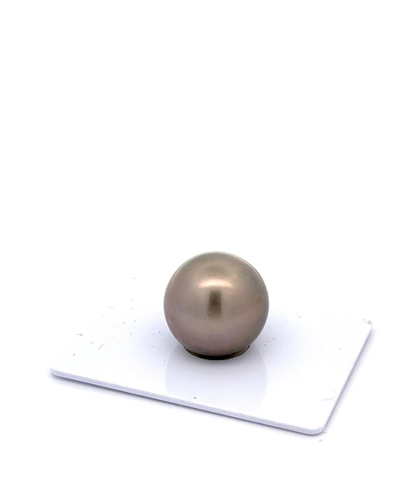 15mm+ fine  grade Tahitian Black pearl, Australia