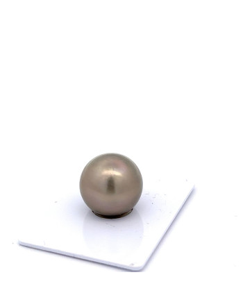 15mm+ fine  grade Tahitian Black pearl, Australia
