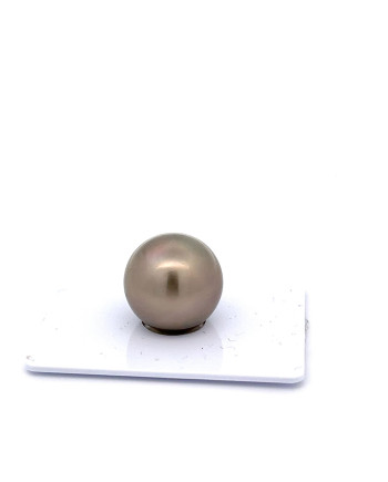 15mm+ fine  grade Tahitian Black pearl, Australia
