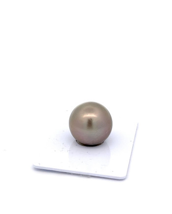 15mm+ fine  grade Tahitian Black pearl, Australia