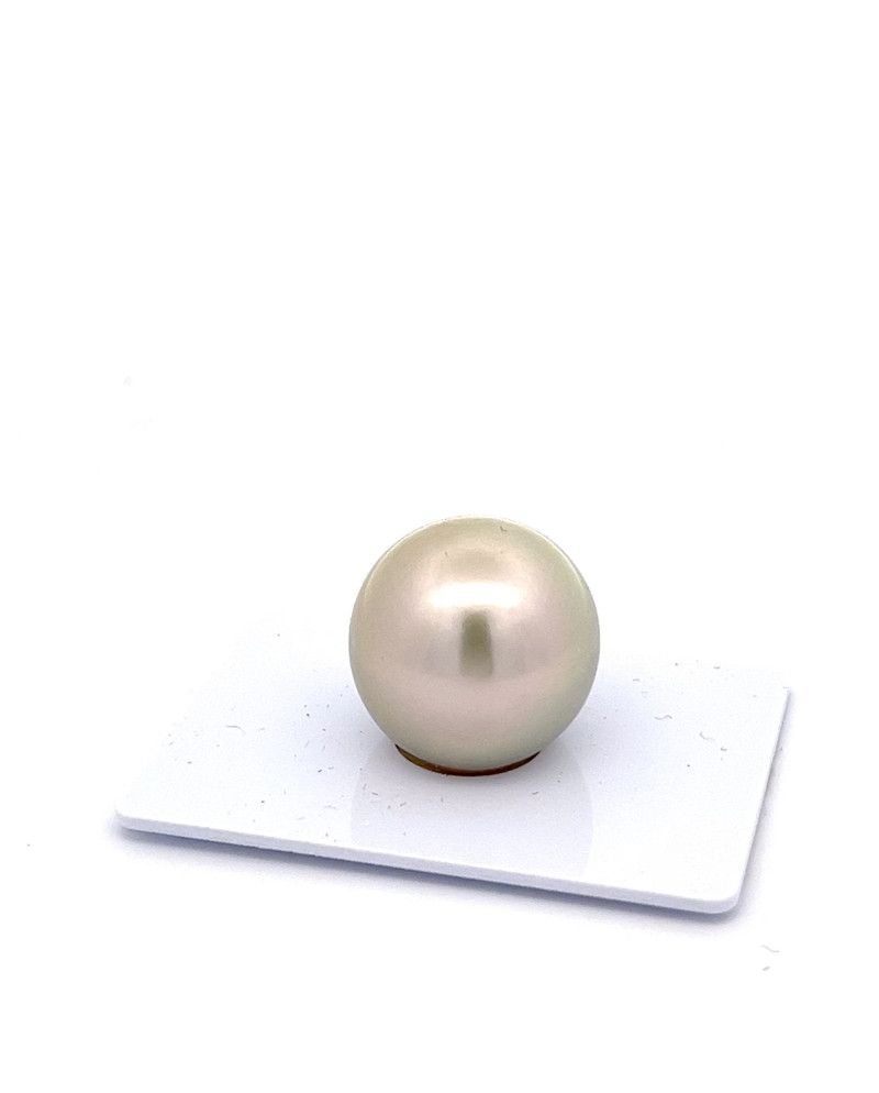 15mm+ gem  grade Tahitian Black pearl, French Polynesia  