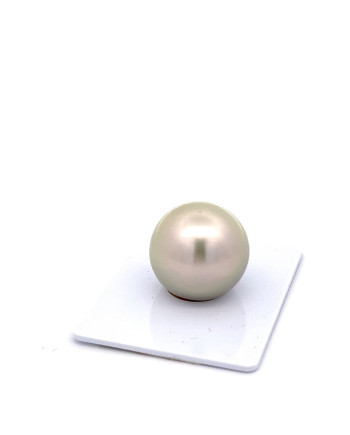 15mm+ gem  grade Tahitian Black pearl, French Polynesia  