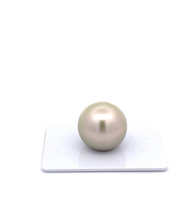 15mm+ gem  grade Tahitian Black pearl, French Polynesia  