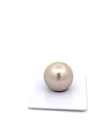 15mm+ gem  grade Tahitian Black pearl, French Polynesia  