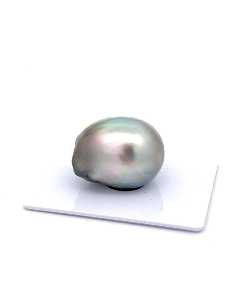 15mm+ jewel  grade Tahitian Black pearl, French Polynesia  