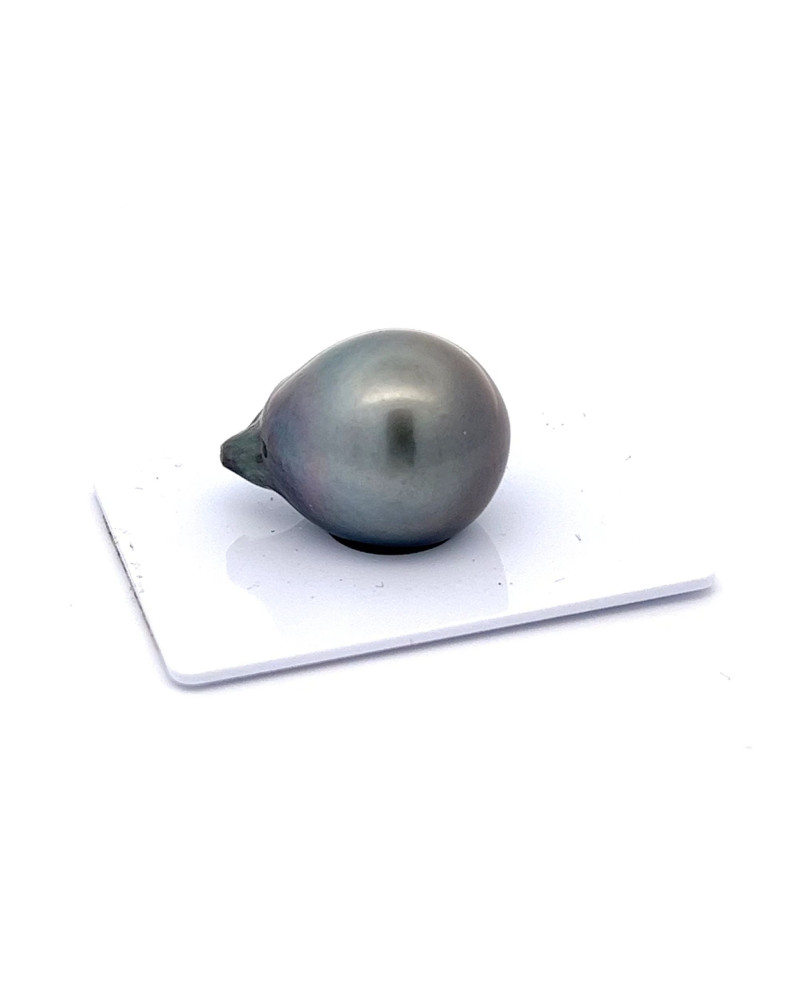 15mm+ fine  grade Tahitian Black pearl, French Polynesia  