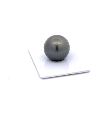 15mm+ fine  grade Tahitian Black pearl, French Polynesia  