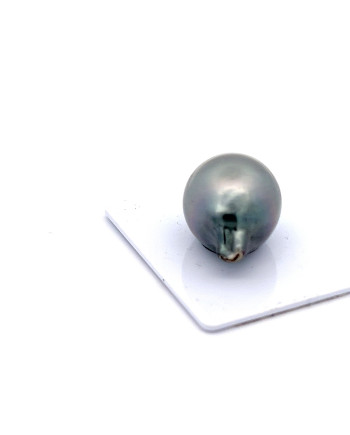 15mm+ fine  grade Tahitian Black pearl, French Polynesia  