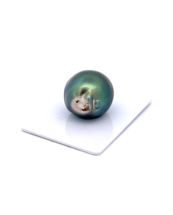 15mm+ fine  grade Tahitian Black pearl, French Polynesia  