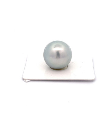 15mm+ fine  grade Tahitian Black pearl, French Polynesia  