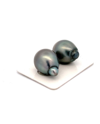 12mm+ fine  grade Tahitian Black pearl, French Polynesia  