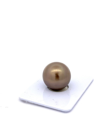 15mm+ fine  grade Tahitian Black pearl, French Polynesia  