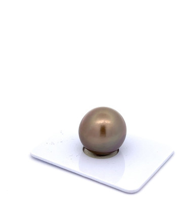 15mm+ fine  grade Tahitian Black pearl, French Polynesia  