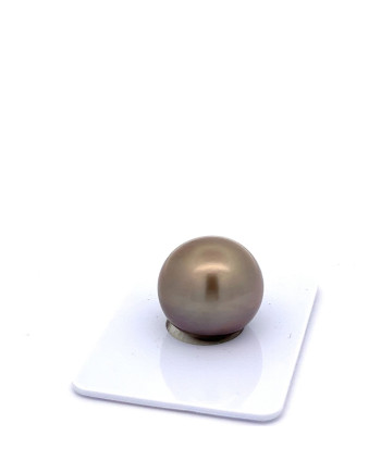 15mm+ fine  grade Tahitian Black pearl, French Polynesia  
