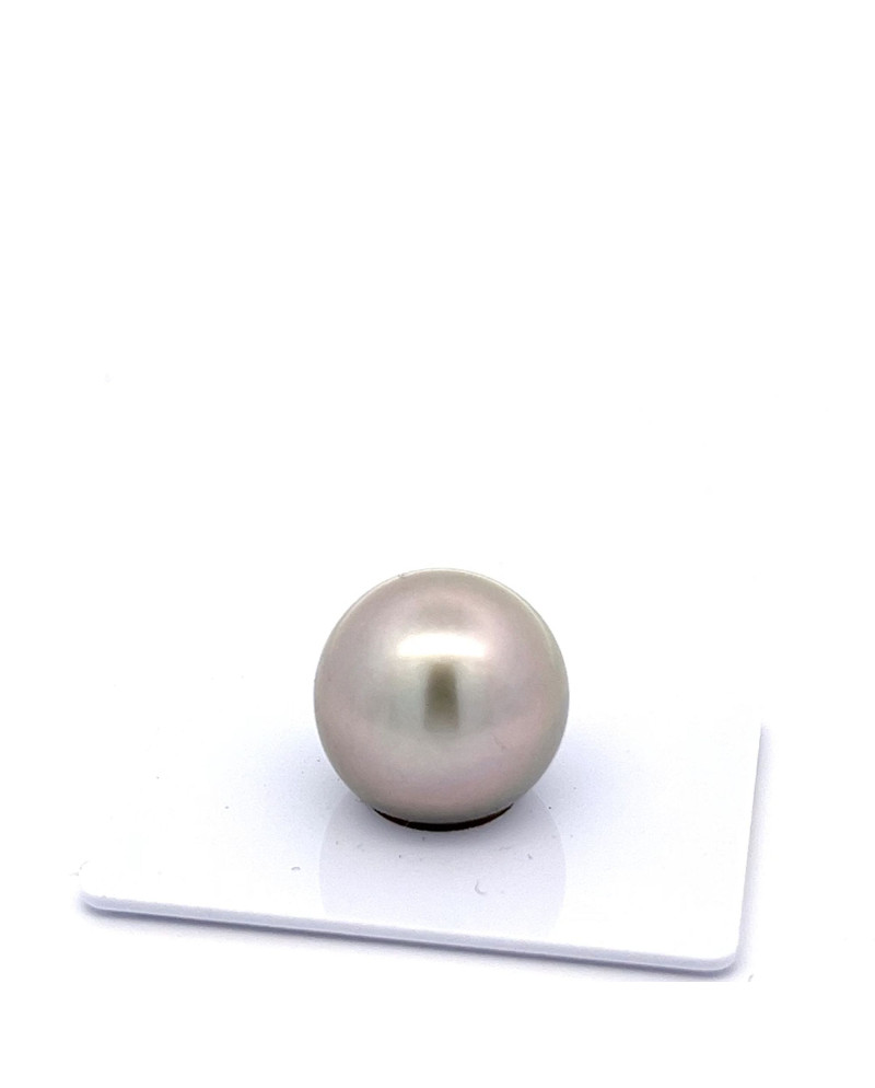 15mm+ gem  grade Tahitian Black pearl, French Polynesia  