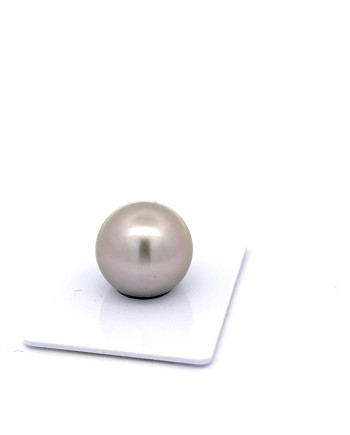15mm+ gem  grade Tahitian Black pearl, French Polynesia  