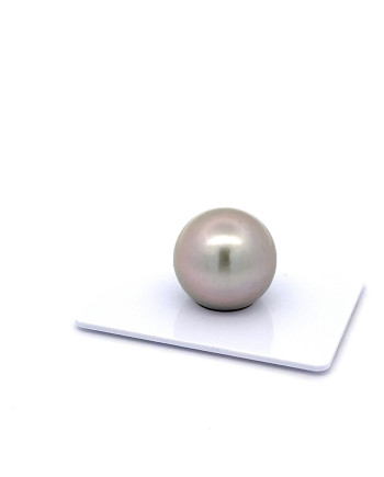 15mm+ gem  grade Tahitian Black pearl, French Polynesia  