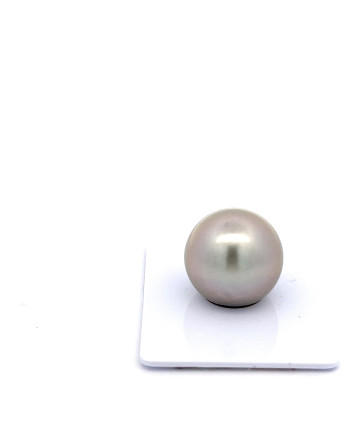 15mm+ gem  grade Tahitian Black pearl, French Polynesia  