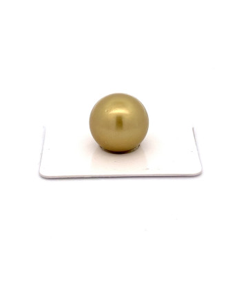 15mm+ fine  grade Tahitian Black pearl, French Polynesia  