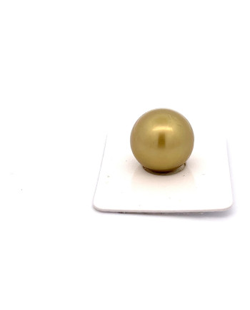 15mm+ fine  grade Tahitian Black pearl, French Polynesia  