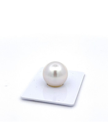 15mm+ gem  grade South Sea pearl, Australia