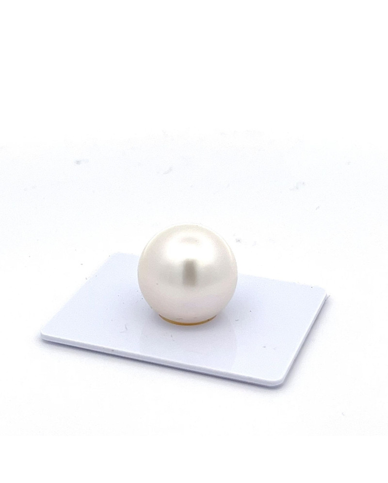 15mm+ gem  grade South Sea pearl, Australia