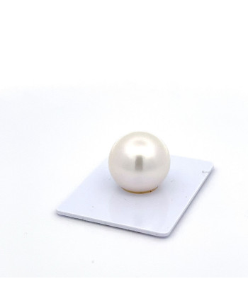 15mm+ gem  grade South Sea pearl, Australia