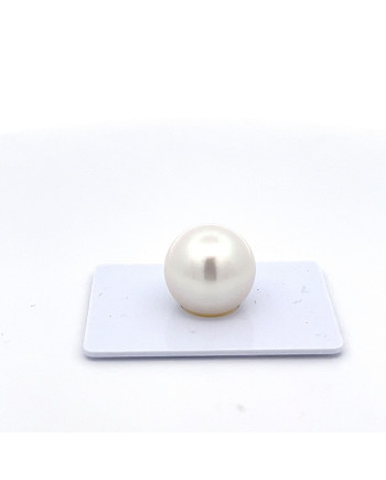 15mm+ gem  grade South Sea pearl, Australia