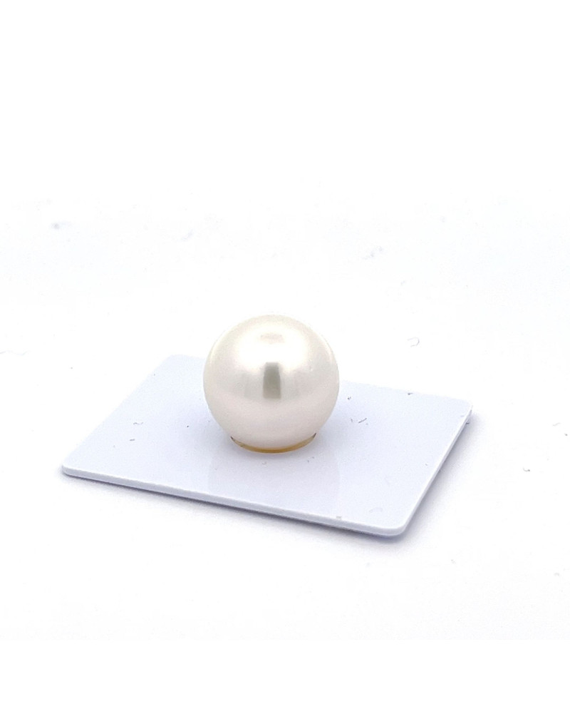 15mm+ gem  grade South Sea pearl, Australia