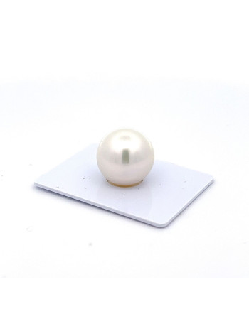 15mm+ gem  grade South Sea pearl, Australia