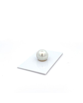12mm+ jewel  grade South Sea pearl, Australia