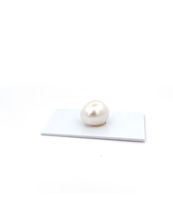 12mm+ gem  grade South Sea pearl, Australia