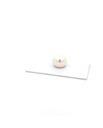 12mm+ gem  grade South Sea pearl, Australia