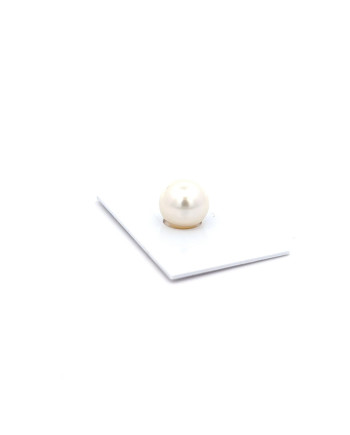 12mm+ gem  grade South Sea pearl, Australia