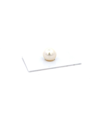 12mm+ gem  grade South Sea pearl, Australia