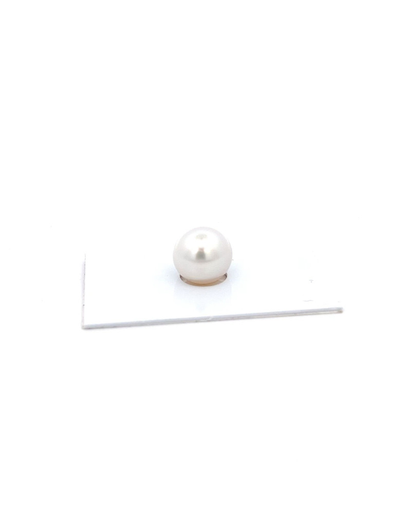 12mm+ gem  grade South Sea pearl, Australia