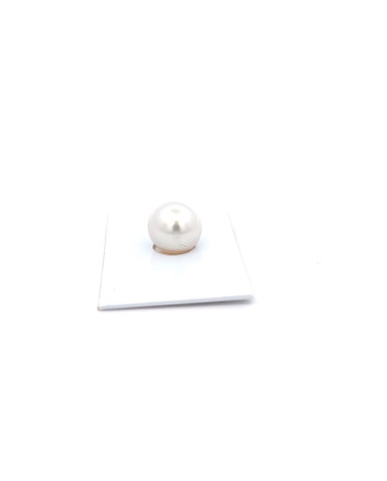 12mm+ gem  grade South Sea pearl, Australia