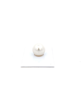 12mm+ fine  grade South Sea pearl, Australia
