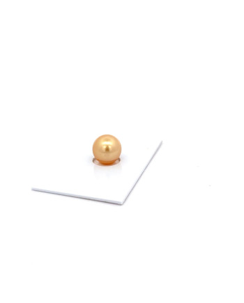 9mm+ gem  grade South Sea pearl, Australia