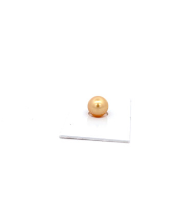 9mm+ gem  grade South Sea pearl, Australia