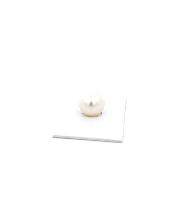 12mm+ fine  grade South Sea pearl, Australia
