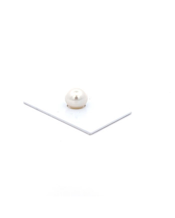 9mm+ gem  grade South Sea pearl, Australia