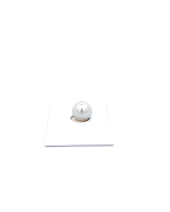 9mm+ jewel  grade South Sea pearl, Australia