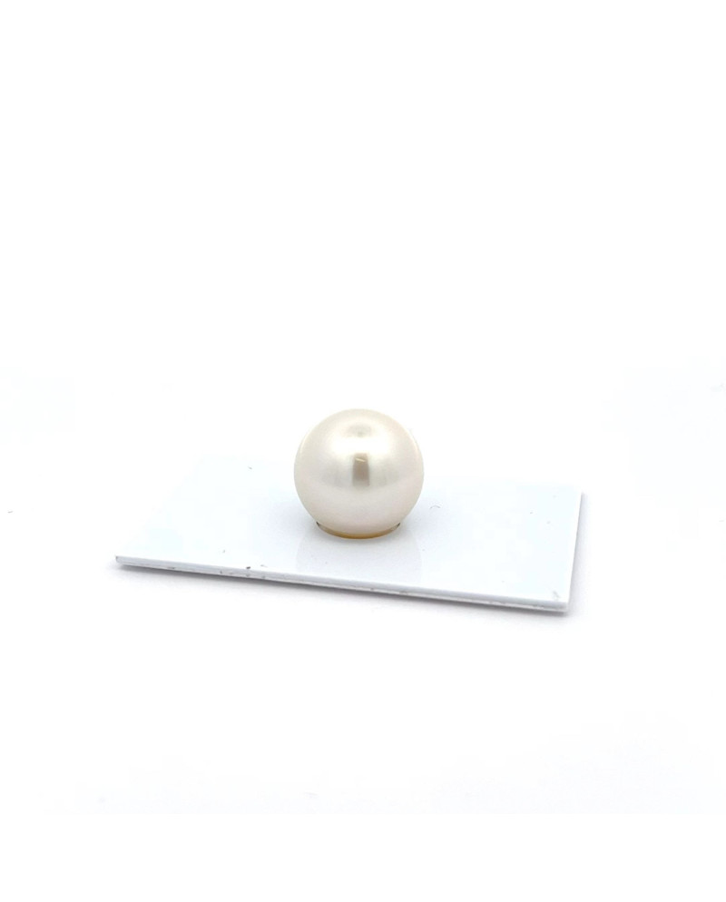 15mm+ gem  grade South Sea pearl, Australia