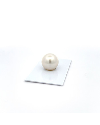15mm+ gem  grade South Sea pearl, Australia