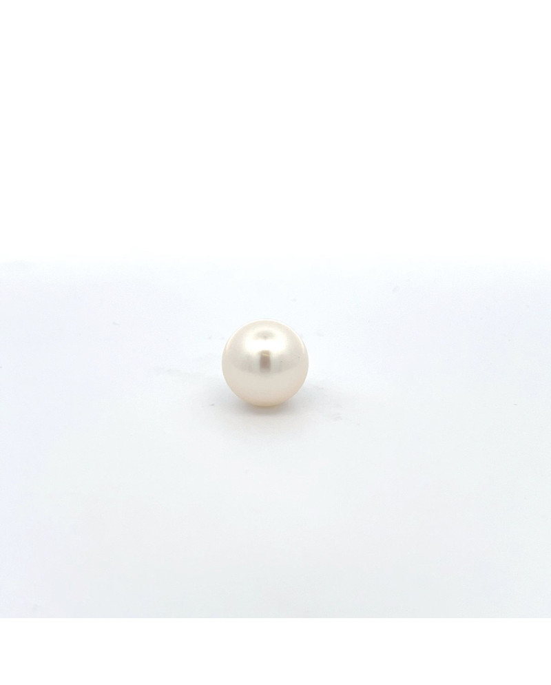 12mm+ gem  grade South Sea pearl, Australia